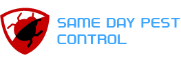 samedaypestcontrolstrathmore.com.au